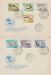 2388fdc.jpg